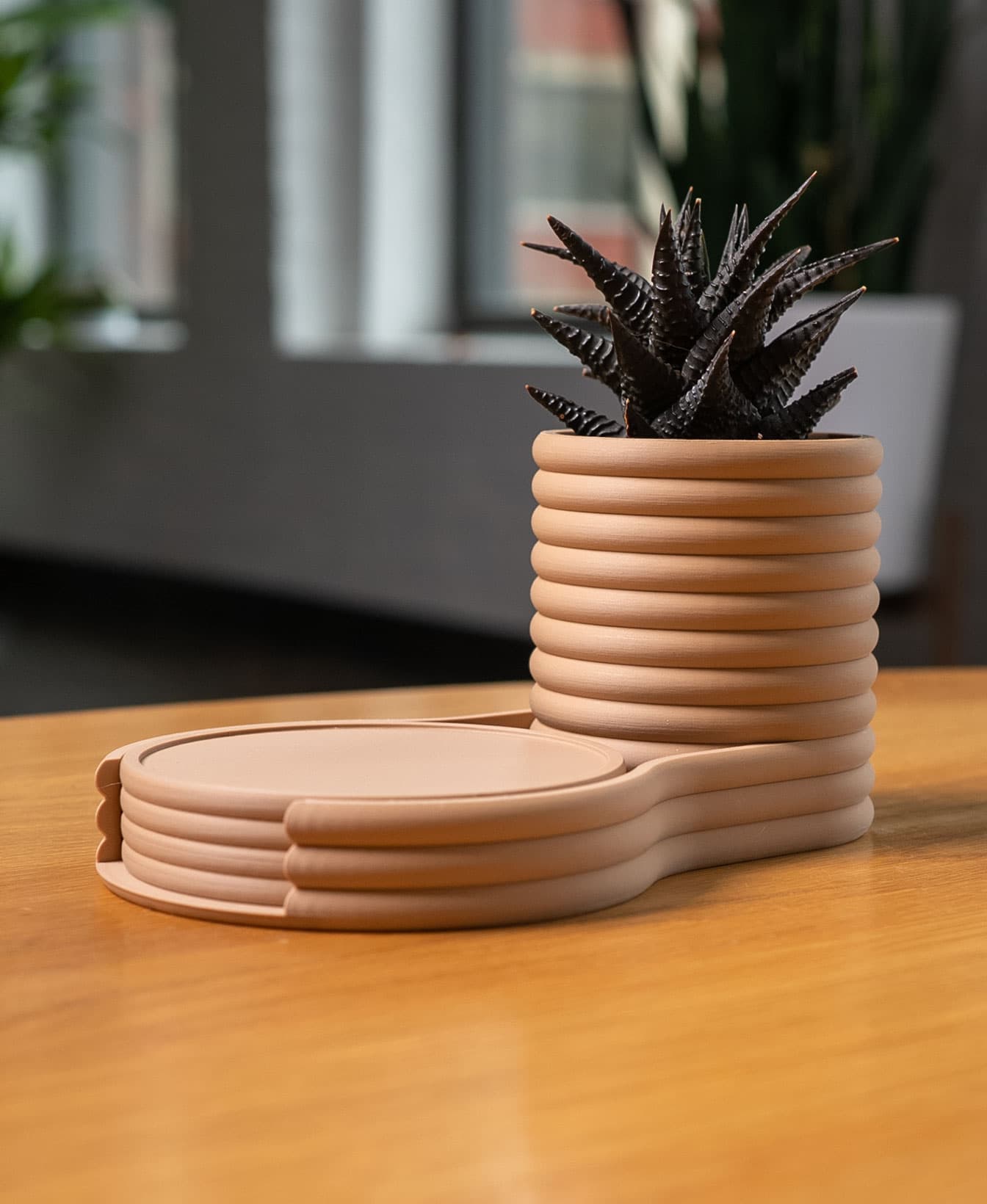 Coaster Planter