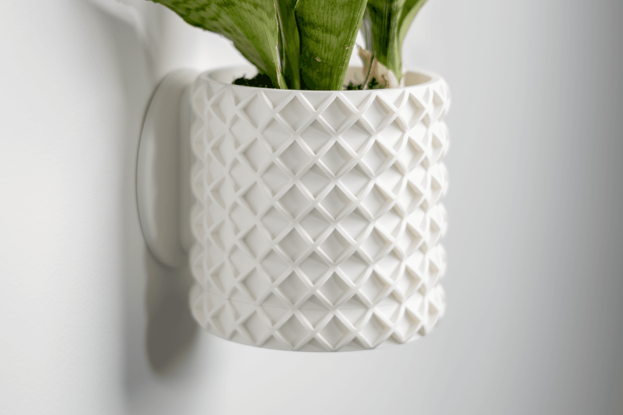 Bubble Lattice Planter